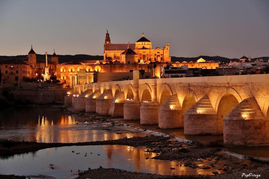 Apartamento Loft Al-Nasir Junto Al Casco Historico Cordoba Exterior photo